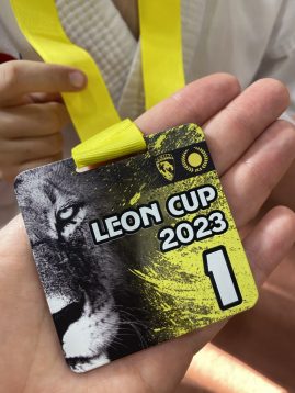 Відкритий Чемпіонат Leon Cup 2023
